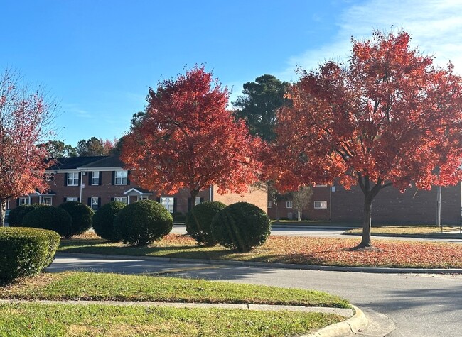 Tyler Run II in Edenton, NC - Foto de edificio - Building Photo
