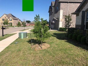 16021 Placid Trail in Prosper, TX - Building Photo - Building Photo