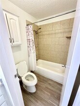 260 El Dorado Blvd in Webster, TX - Building Photo - Building Photo