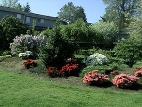 Oak Grove Village Apartments in Milwaukie, OR - Building Photo - Building Photo