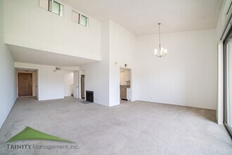 2564 Navarra Dr in Carlsbad, CA - Building Photo - Building Photo