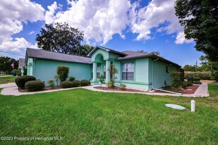 8513 Beach Rd in Spring Hill, FL - Building Photo