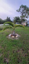 19101 Holly Rd in Ft. Myers, FL - Foto de edificio - Building Photo
