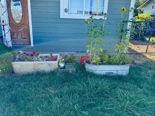 3360 Brown Rd NE in Salem, OR - Foto de edificio - Building Photo