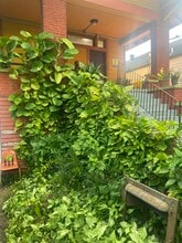 1808 Elysian Fields Ave, Unit 11 in New Orleans, LA - Foto de edificio - Building Photo