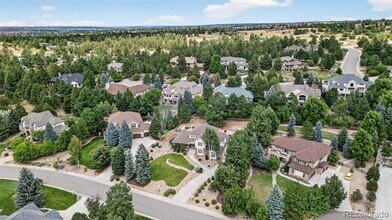 8389 Owl Roost Ct in Parker, CO - Building Photo - Building Photo