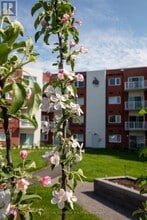 45 Elmsley St S in Smiths Falls, ON - Building Photo - Building Photo