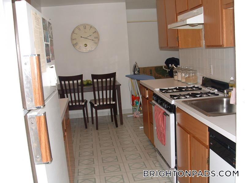 24 Colborne Rd in Boston, MA - Building Photo