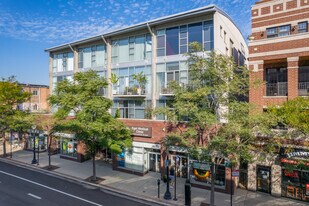 TriBeca in Chicago, IL - Building Photo