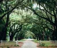 Apartamentos en Savannah, GA