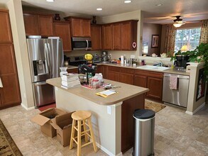 1981 Amber Sun Ct in Castle Rock, CO - Building Photo - Building Photo