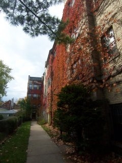 4028-4030 N Paulina St in Chicago, IL - Building Photo - Building Photo