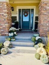 79 Sheldon Ave in Castle Rock, CO - Building Photo - Building Photo