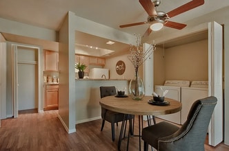 Sycamore Square Apartments in Mesa, AZ - Building Photo - Building Photo