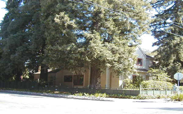 409 Glenwood Ave in Menlo Park, CA - Foto de edificio - Building Photo