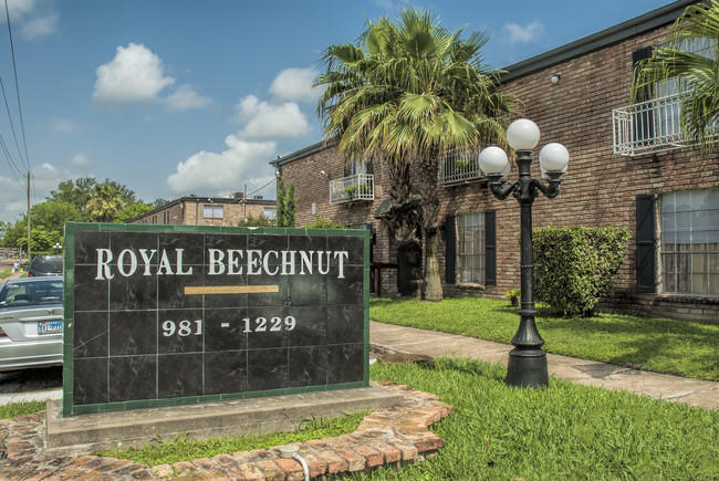 Royal Beechnut in Houston, TX - Building Photo - Building Photo