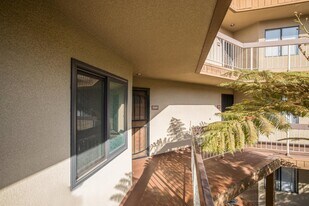 7245 Navajo Rd in San Diego, CA - Building Photo