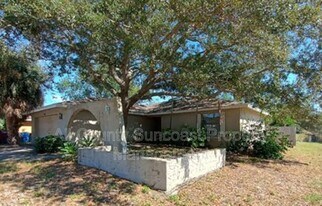 646 16th St in Palm Harbor, FL - Building Photo