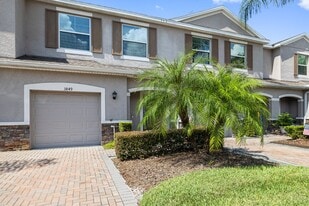 3849 Silverlake Way in Wesley Chapel, FL - Building Photo