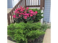 6624 W 152nd St photo'