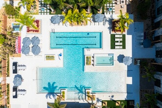 The Concord Luxury Apartments in Sarasota, FL - Foto de edificio - Building Photo