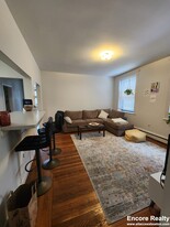 11 Stearns Rd, Unit 4 in Brookline, MA - Building Photo