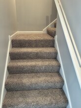 3806 Beatrice Cove in Bartlett, TN - Building Photo - Building Photo