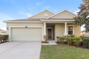 3911 Constantine Loop in Wesley Chapel, FL - Building Photo