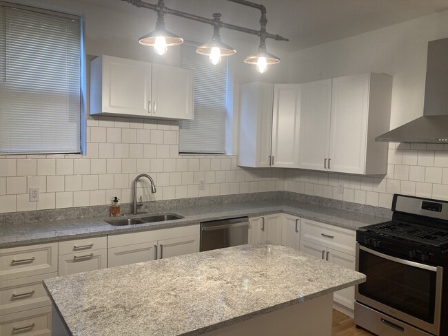 747 N Throop St, Unit 1 in Chicago, IL - Building Photo - Building Photo