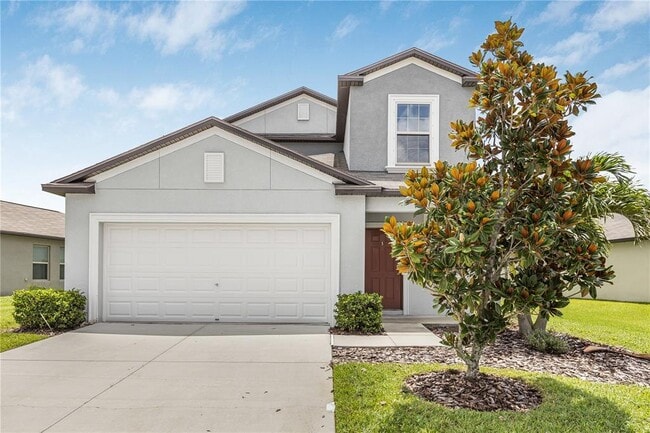 5149 White Chicory Dr in Ruskin, FL - Building Photo - Building Photo