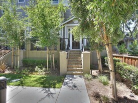 236 Birch Creek Terrace in Pleasanton, CA - Building Photo