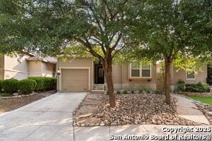 7146 Sunny Day in San Antonio, TX - Building Photo - Building Photo
