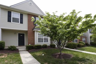 Sky Terrace in Stafford, VA - Building Photo - Building Photo