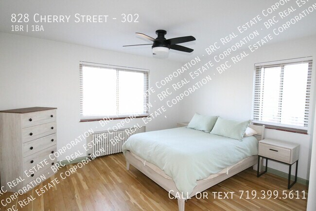 828 Cherry St in Denver, CO - Building Photo - Building Photo