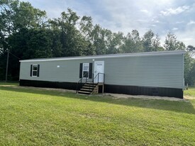 2910 Harris Kicklighter Rd in Glennville, GA - Building Photo