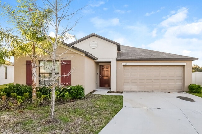 property at 12623 Lemon Pepper Dr