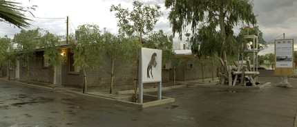 Casa Carmel in Tempe, AZ - Foto de edificio - Building Photo