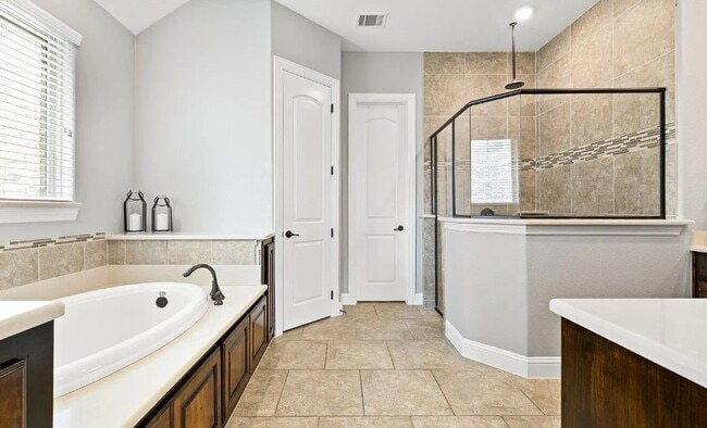 13862 Mammoth Cave Ln in Frisco, TX - Building Photo - Building Photo