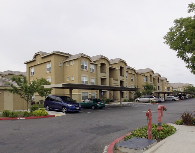 Agave Apartments in Elk Grove, CA - Foto de edificio - Building Photo