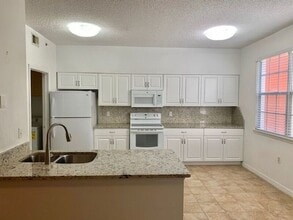 10873 Windsor Walk Dr in Orlando, FL - Building Photo - Building Photo