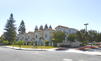 Terrace Gardens Apartments