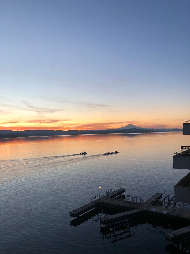 1800 43rd Ave E, Unit 308 in Seattle, WA - Building Photo - Building Photo