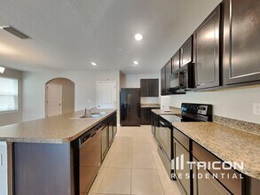 10305 Geese Trail Cir in Sun City Center, FL - Building Photo - Building Photo