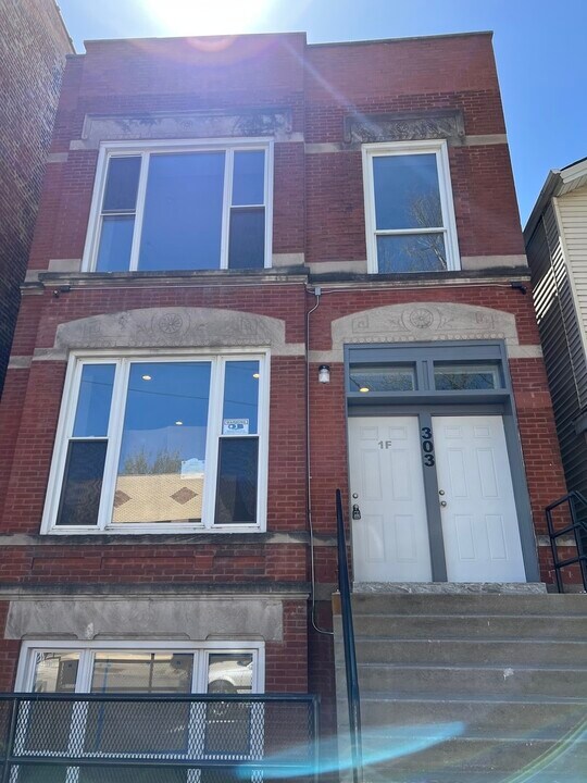 303 W 24th St in Chicago, IL - Building Photo