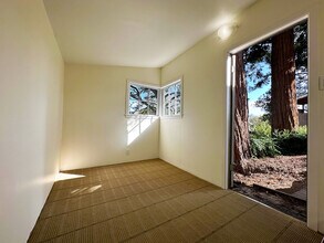 1908 Napa Ave, Unit Cottage in Berkeley, CA - Building Photo - Building Photo