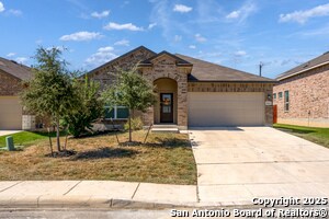 9423 Bracted Sedge in San Antonio, TX - Building Photo