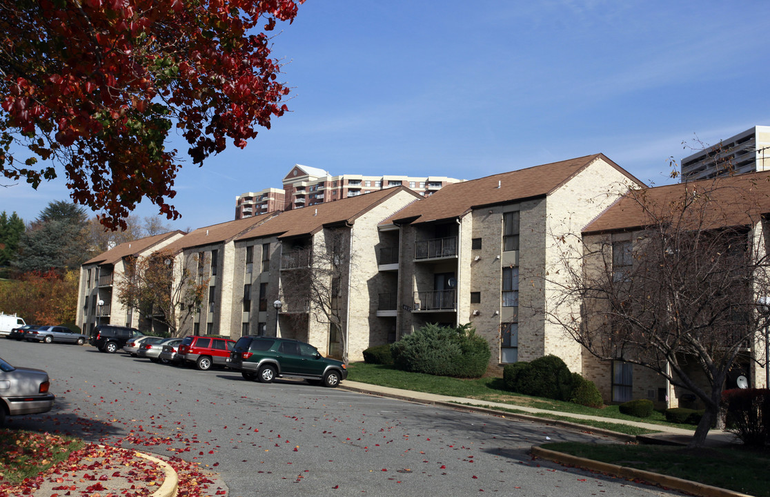 Edsall Bluff in Alexandria, VA - Building Photo