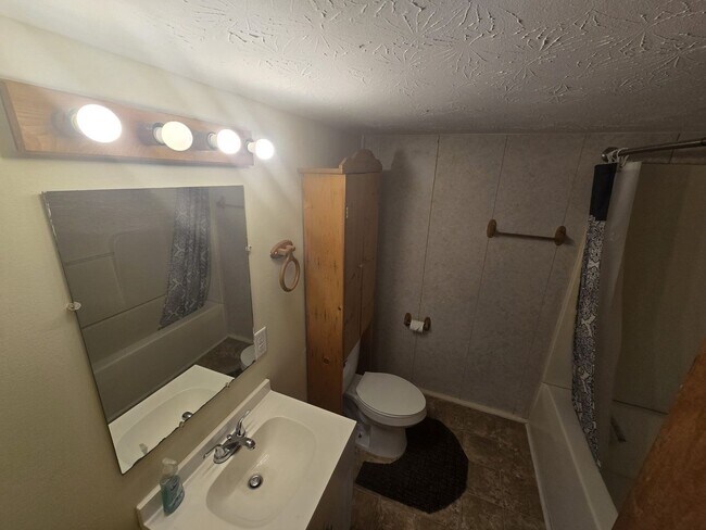 11 Watertown Rd in Waterford, OH - Building Photo - Building Photo