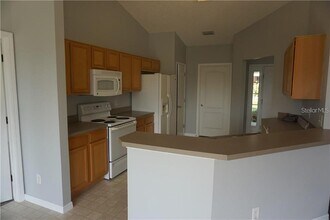 915 Cork Oak Ln in Minneola, FL - Building Photo - Building Photo