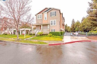 37421 Glenbrook Ter in Fremont, CA - Building Photo - Building Photo